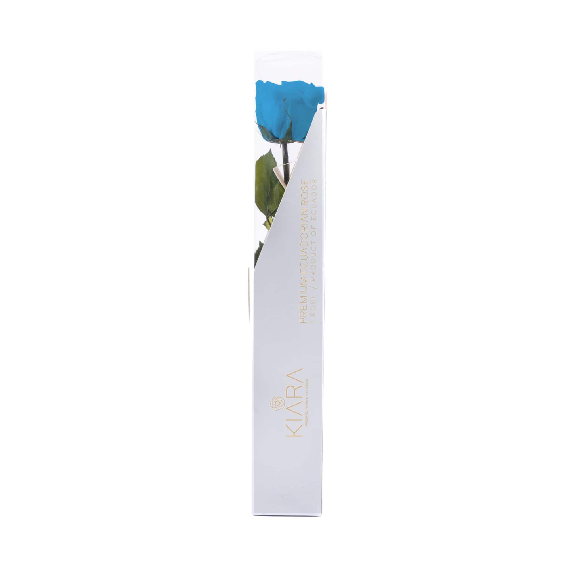 Fantasy Farms 11.8" Preserved Rose Stem